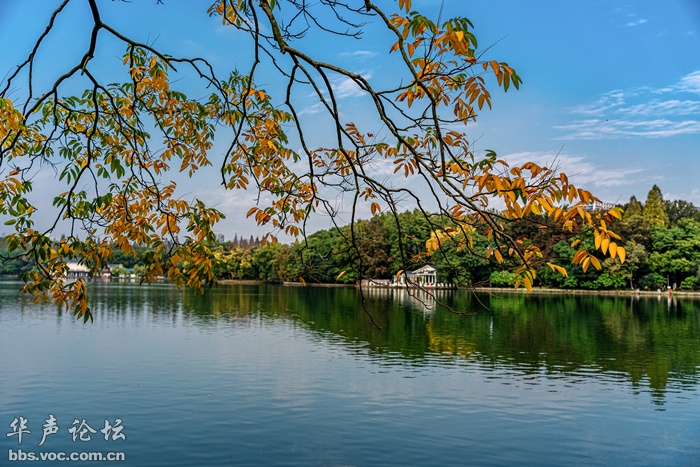 深秋的烈士公園