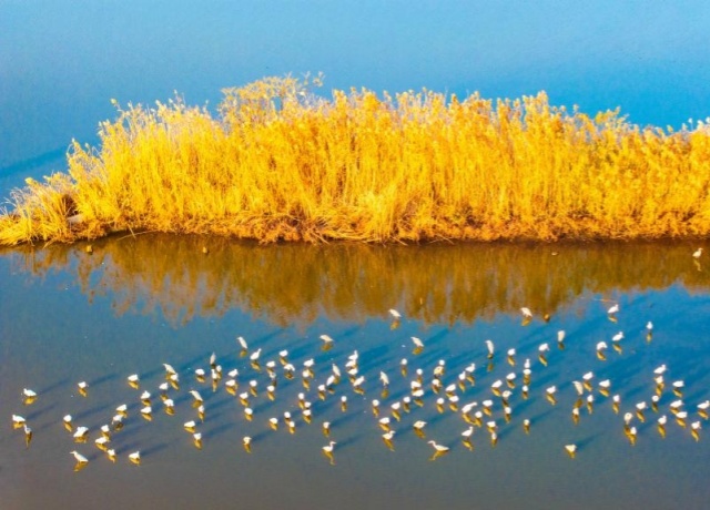 冬林不寂 色彩未眠