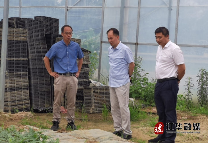 国家统计局湖南调查总队到江华调研粮食生产工作