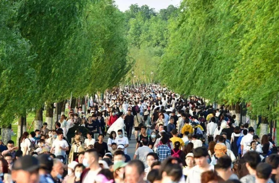 平台数据显示中国端午假期人均旅游预订量超去年