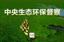 中央生态环保督察组向我省交办第24批信访件 | 湖南日报