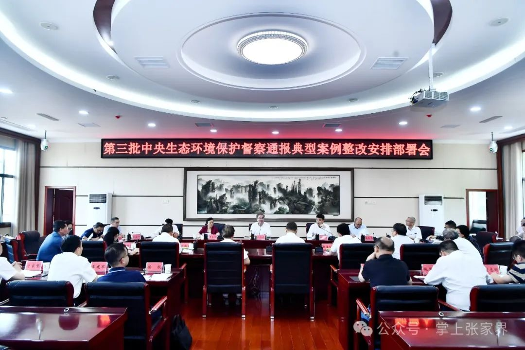 张家界：从严从实从快 不折不扣抓好问题整改