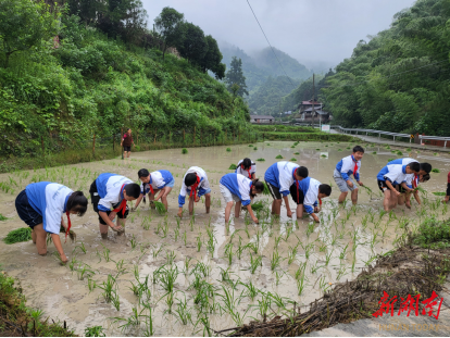 洪江區(qū)橫巖鄉(xiāng)：芒種時節(jié)播種希望 勞動教育耕耘夢想