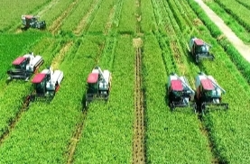 理论周刊·新论头条丨加快发展农业新质生产力 推动“大国小农”迈向“大国强农”