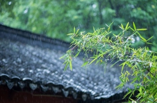 梅雨季节巧祛湿