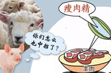 事关“肉篮子”！长沙严打这些违法犯罪并公开征集线索