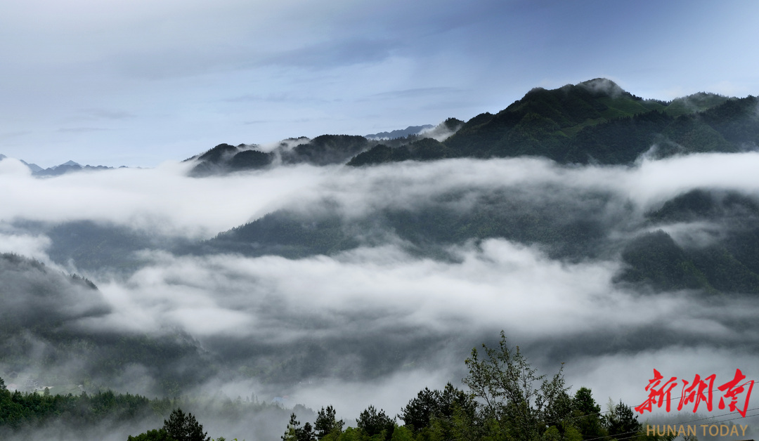 藏在大山深处的“艺术村落”