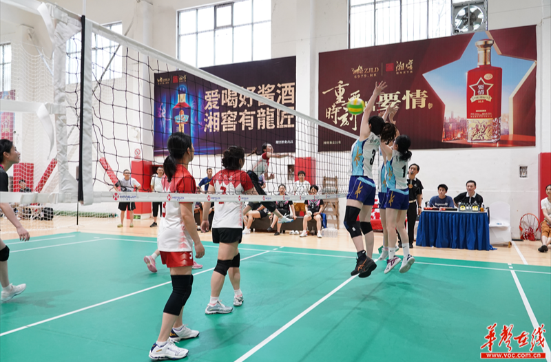 华声在线女队夺冠！第14届湖南省直单位气排球比赛举行