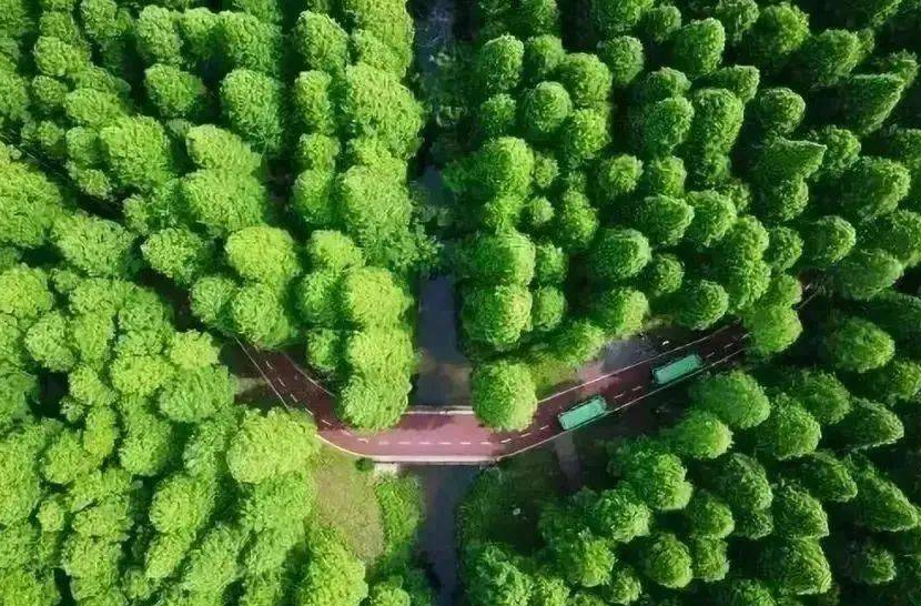 赫山区林地数字化管理改革迈出第一步