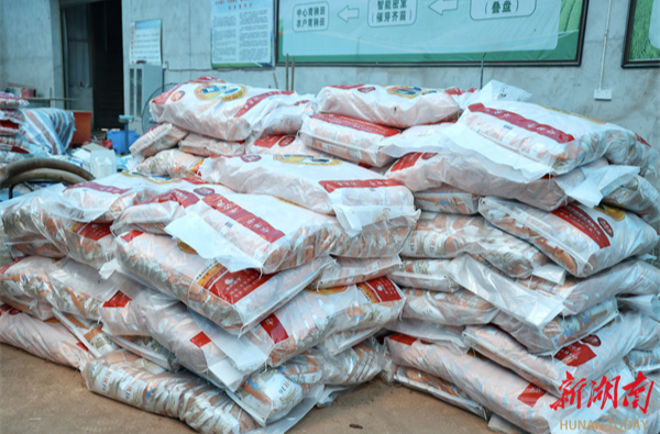 永州冷水滩：免费发放12万斤晚稻种子 助力粮食生产