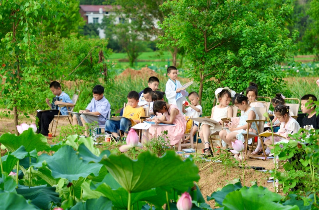衡山：“荷”你一场初遇，便是妙笔生“花”