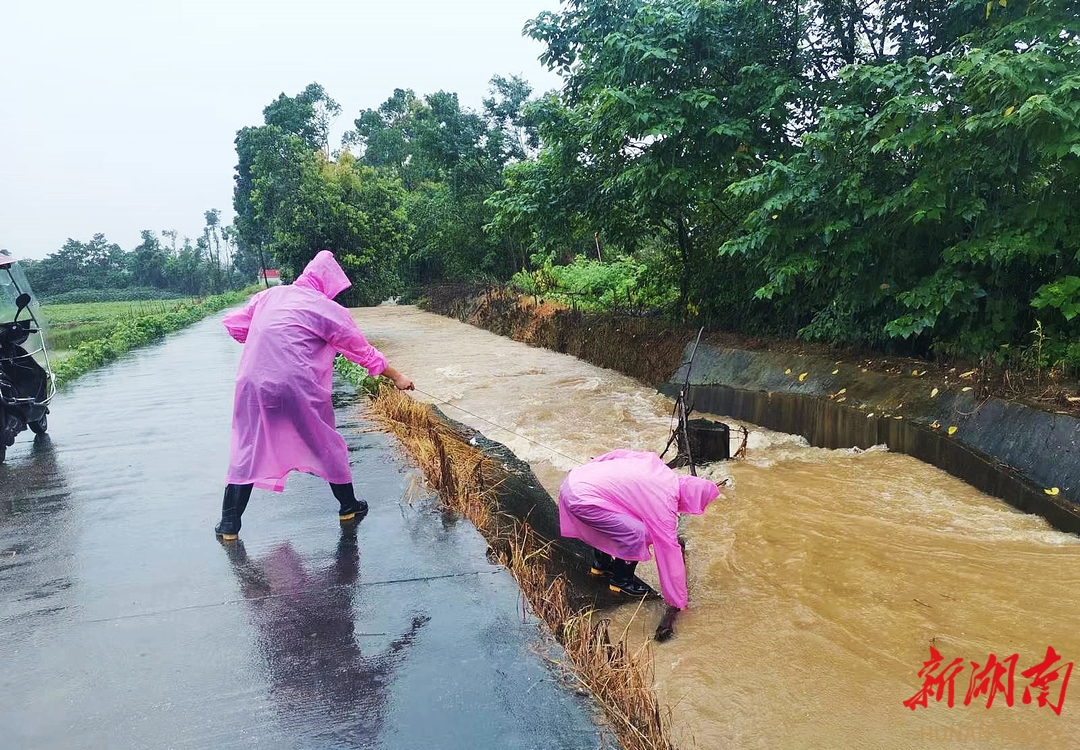 望城區(qū)烏山街道：黨建引領(lǐng)，筑起防汛“安全堤”