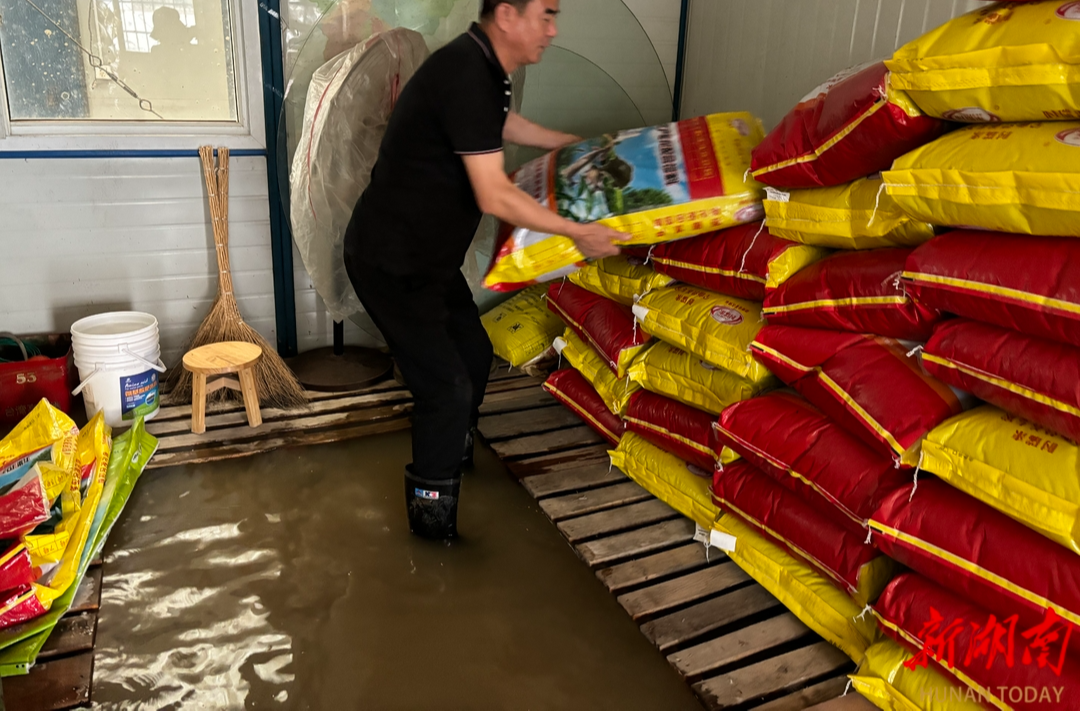 乔口镇：在暴雨中守住家门口的产业