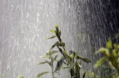 五预警齐发！强对流天气、暴雨、山洪、城市内涝……
