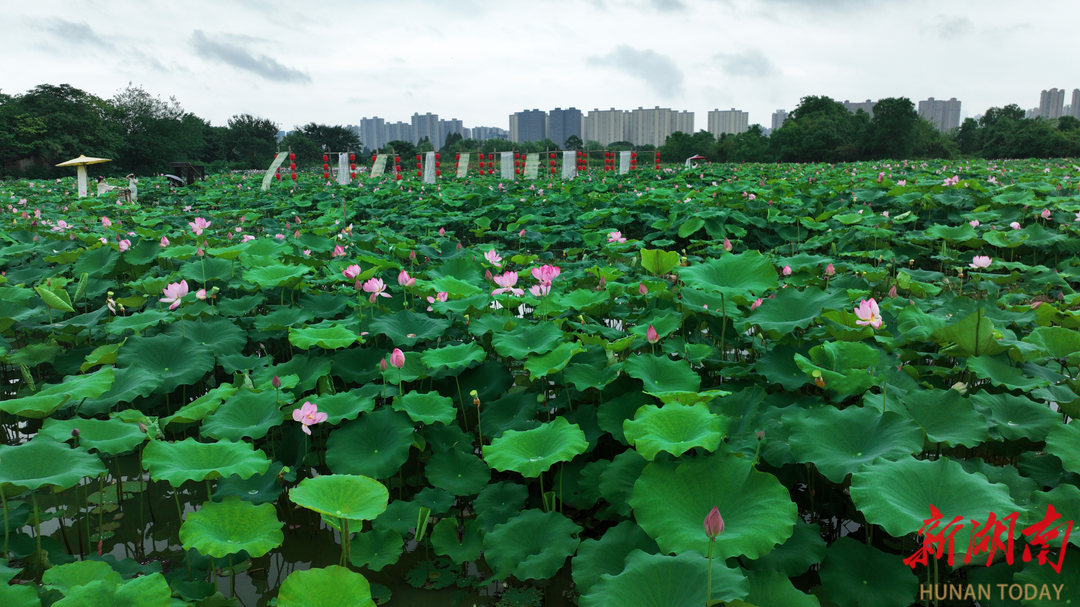 城乡处处绘新景——透视长沙市开福区市容环境之变(上)