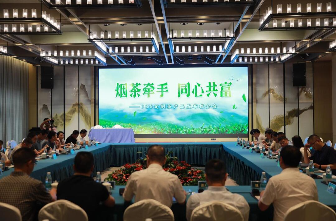 洞口雪峰茶产品发布推介会在郴州举行