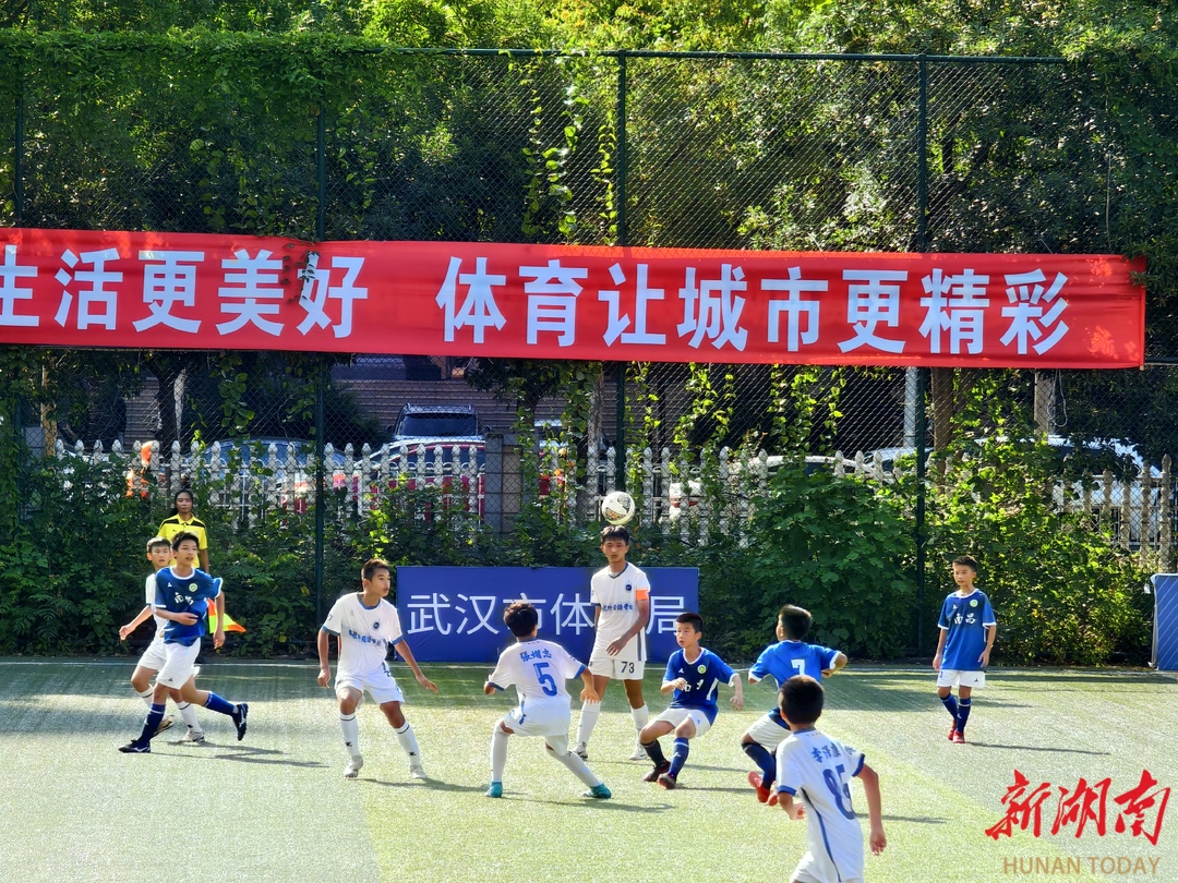 江西南昌体育场护栏网18x3m厂家直销赣超联赛官网_江西省城市足球顶级赛事赛程表+直播+积分榜一站掌握！