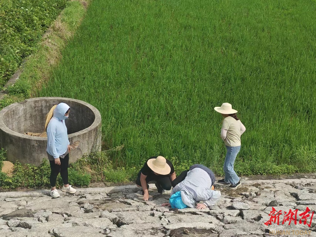 长沙县水利局持续做实做细水旱灾害防御工作