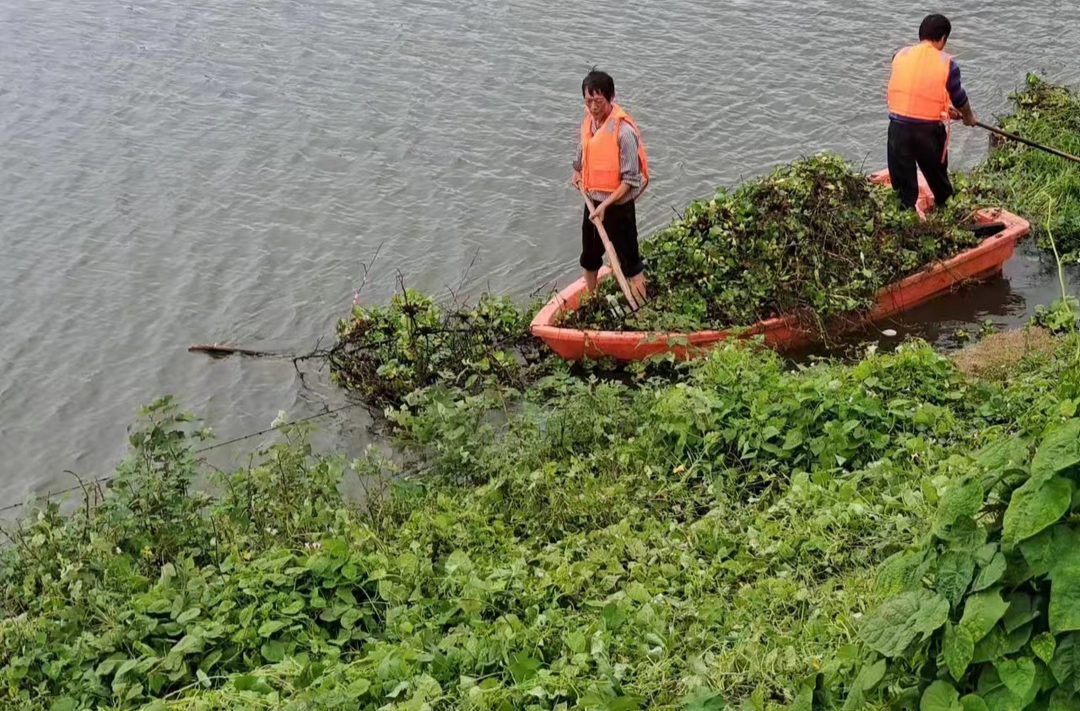 水退人进 长沙县迅速开展汛后河湖保洁专项行动