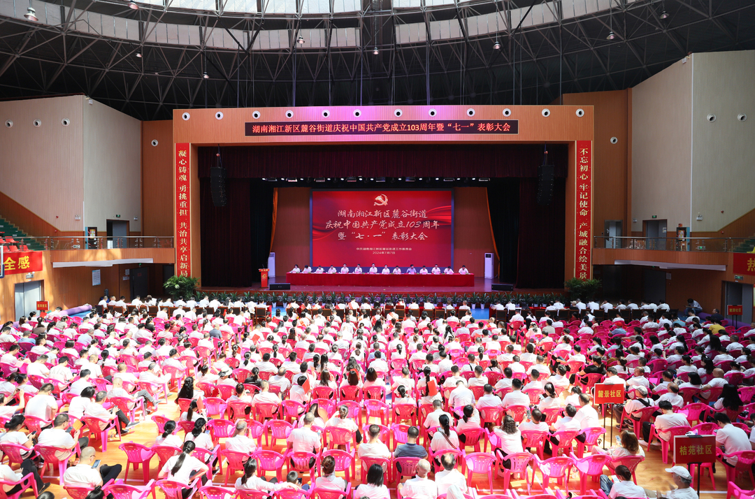 麓谷街道召开庆祝中国共产党成立103周年表彰大会