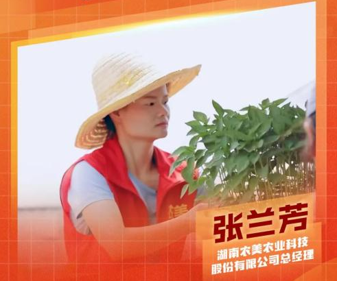 “85”后辣妹子回乡创业，成湖南最大辣椒苗供应商