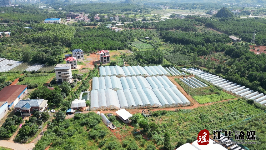 江华大圩镇：大棚套种瓜果蔬菜 农户增产又增收