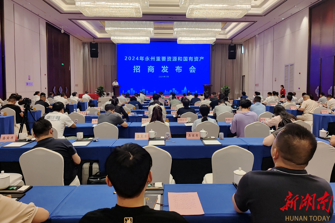 2024年永州市重要资源和国有资产招商发布会举行 陈爱林出席会议并讲话