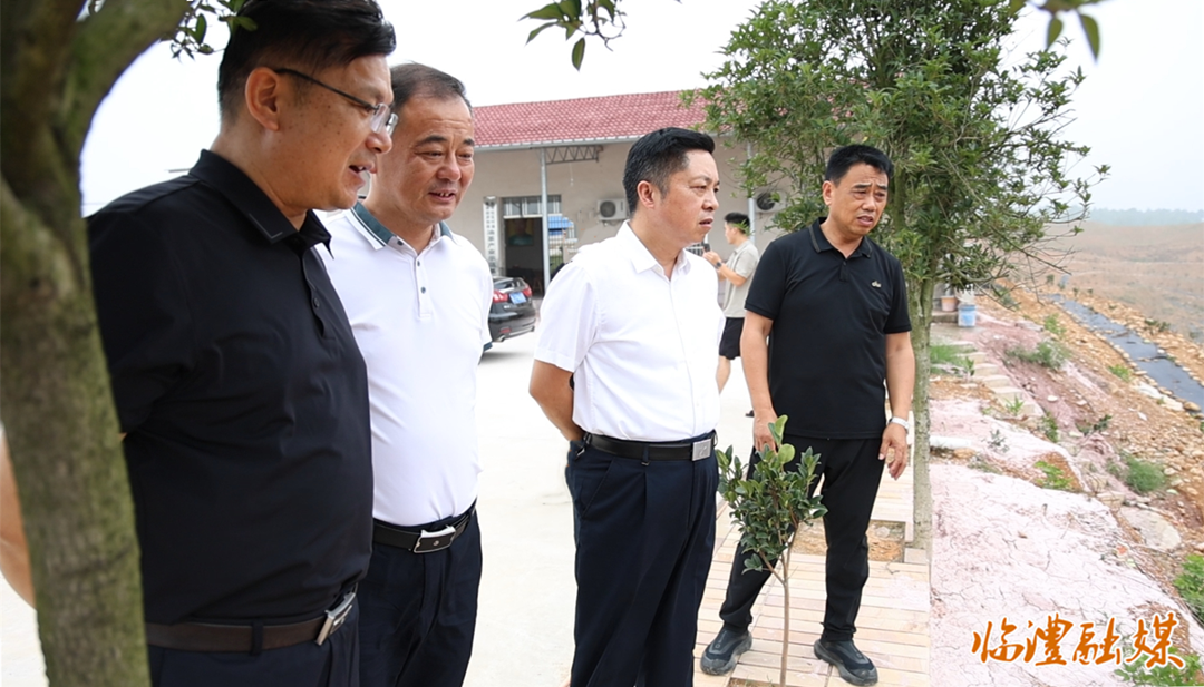 临澧县领导到人大代表服务群众联络站开展履职活动