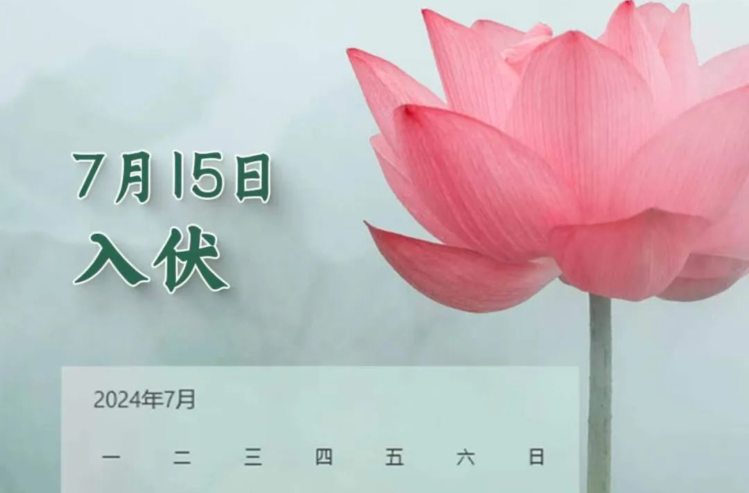 周末·涨知识丨后天入伏，“三伏”为啥有时30天有时40天？