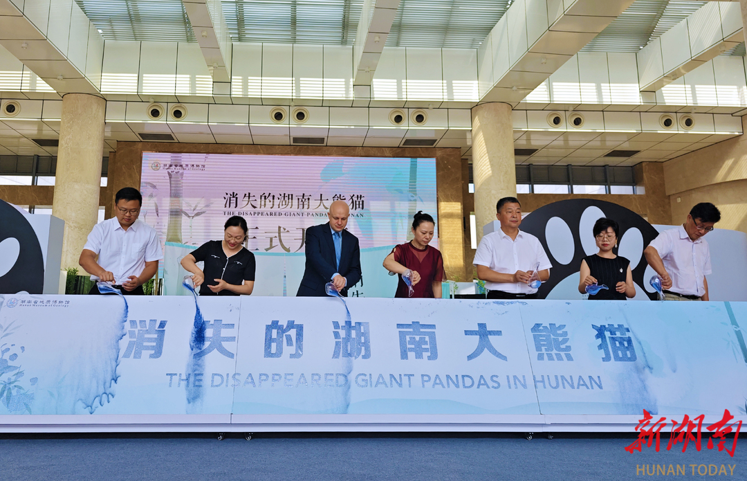“消失的湖南大熊猫”展览启幕 探寻国宝历史