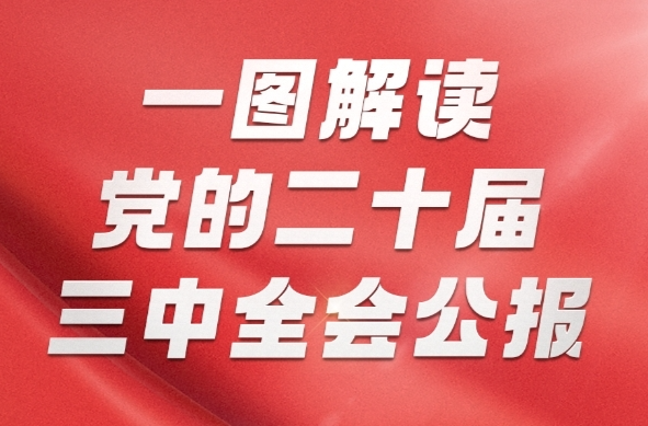 一图解读党的二十届三中全会公报