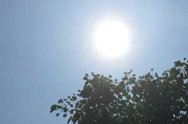 注意防范！高温、暴雨、强对流多预警齐发