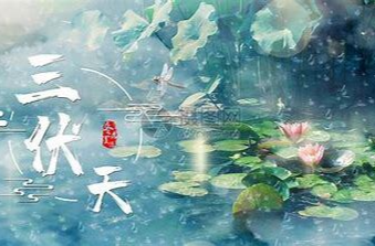 大暑正伏天，养生重在防暑养心健脾