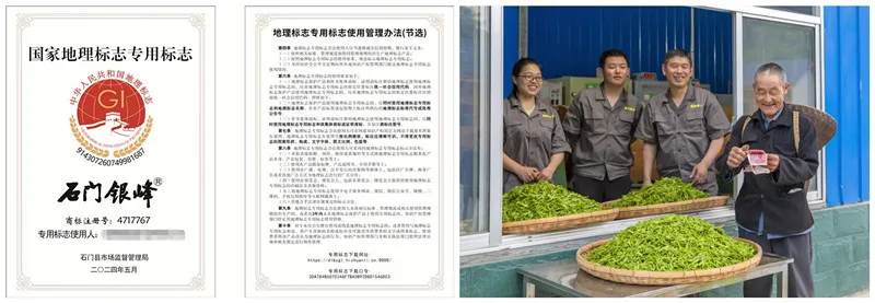 石门县获批“石门银峰”湖南省地理标志产品保护示范区