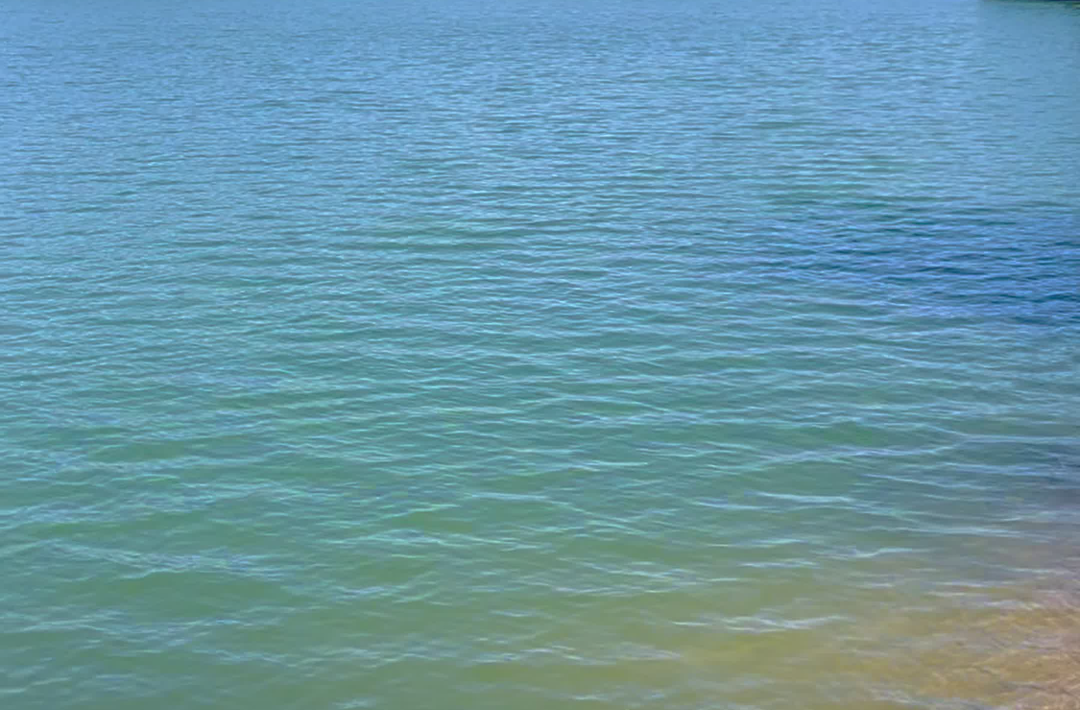 视频|非紧急勿挪用！防溺水“四件套”关键时刻能救命
