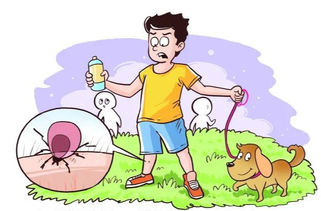 出发前必看！暑期出游，应做好哪些准备？如何预防和处理蜱虫叮咬？| 时令节气与健康