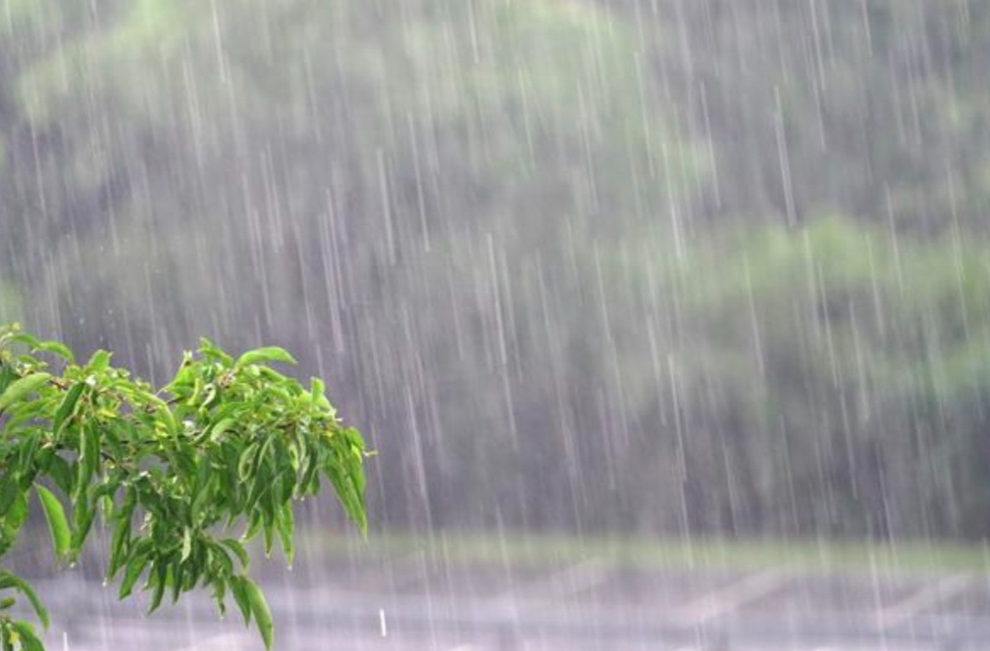 降雨接近尾声防范不能松劲