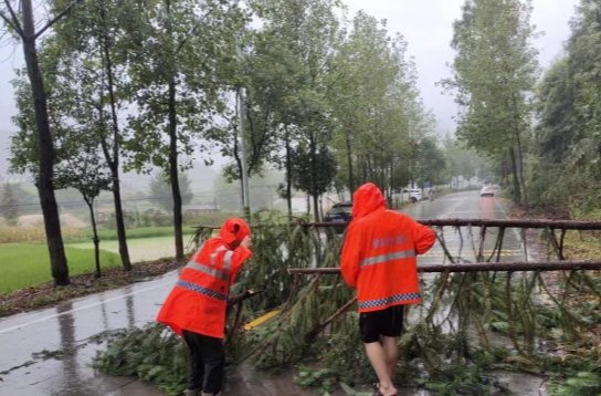 强降雨突破郴州历史极值，全市受灾人口超16万，紧急转移2万余人——共筑抗洪救灾坚固防线