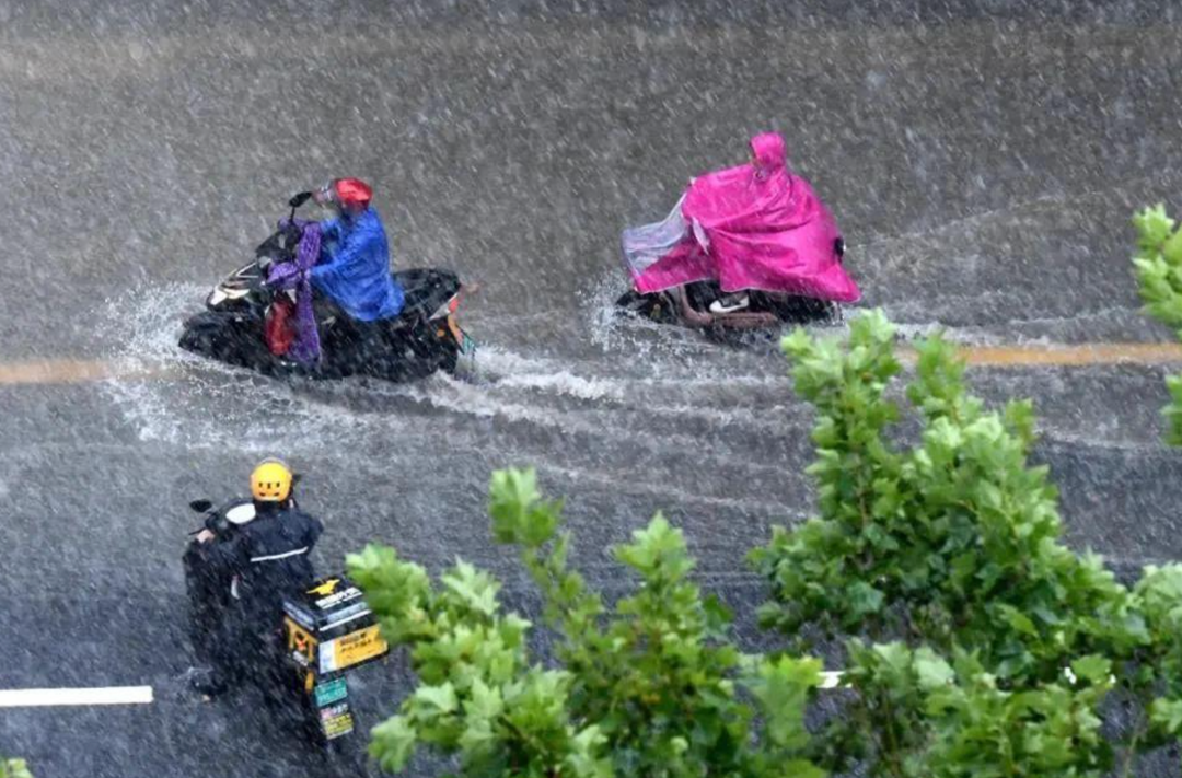 三湘时评丨迅速行动起来 将强降雨危害降到最低