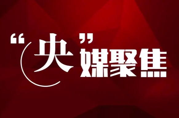 中新社｜湖南換發(fā)第三代社會(huì)保障卡 解鎖更多應(yīng)用新場(chǎng)景