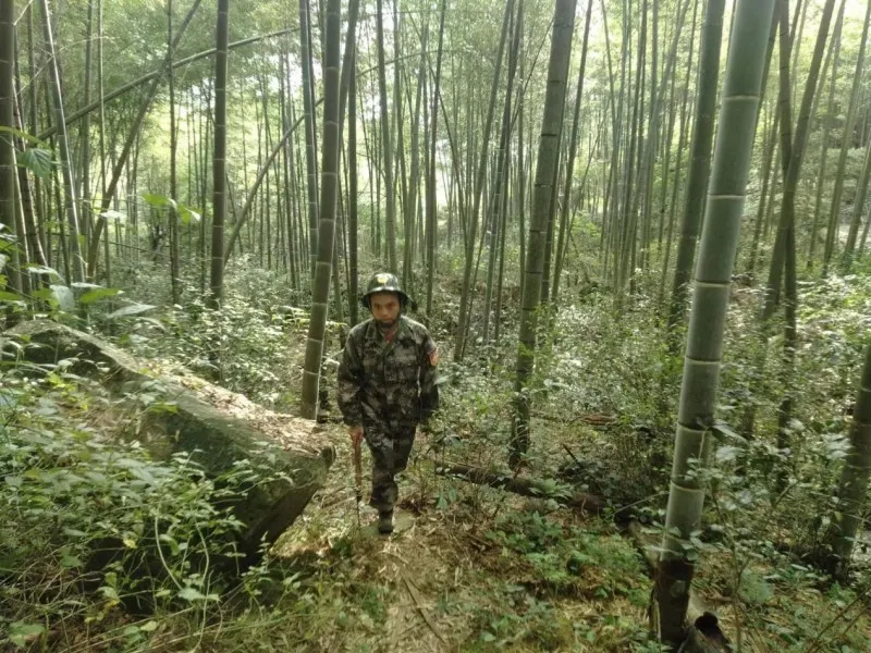 晴熱高溫“烤”驗(yàn) 瀏陽護(hù)林防火不放松