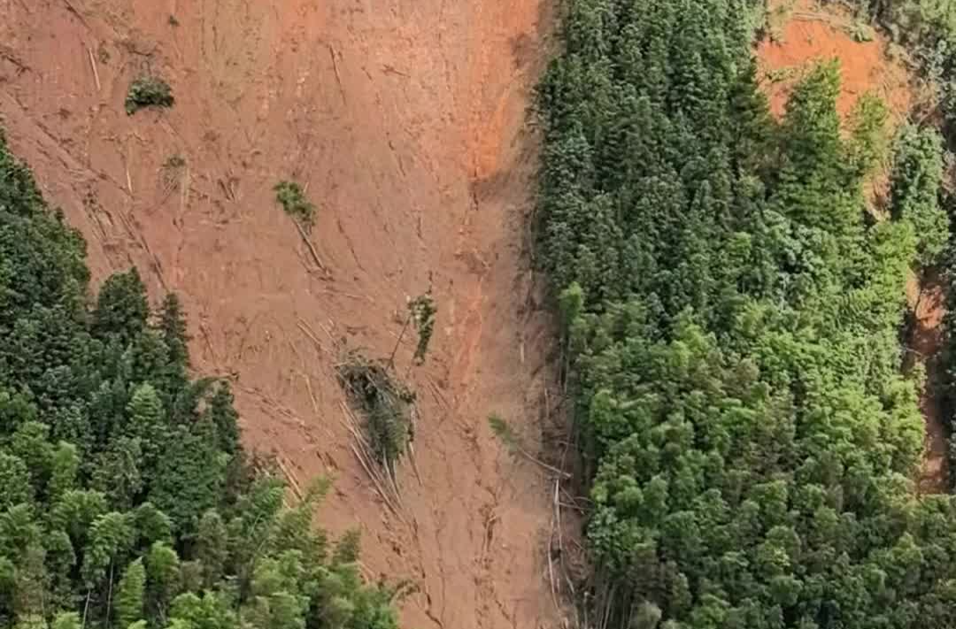 郴州“八面山”為何“受傷”這么重？