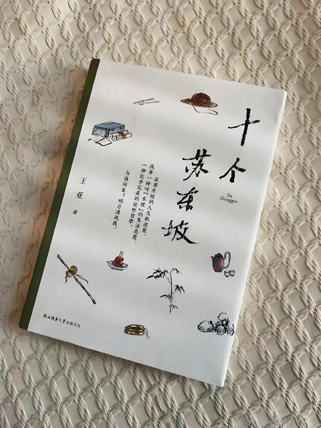 藝評丨陽海洪：在古典文化中尋找心靈“家園”——王亞《十個蘇東坡》評析