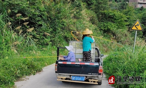 江華：清道路除雜草 百姓安全出行有保障