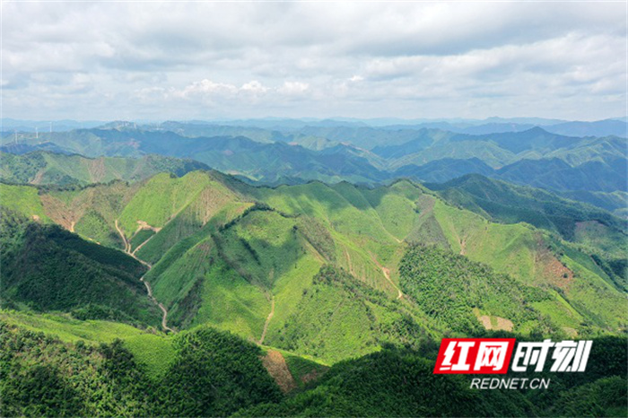 湖南新田：生態(tài)修復有成效 綠意盎然景色好