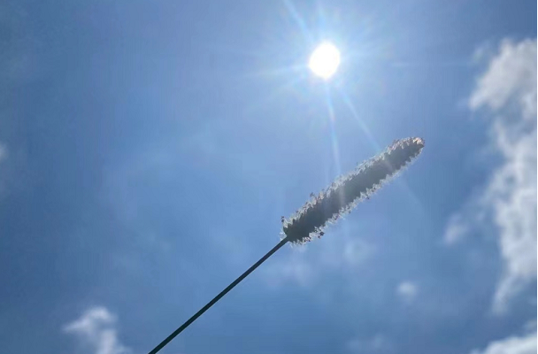 高温橙色预警持续！南方局地超40℃，注意防暑降温