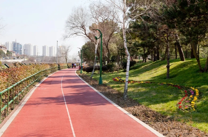 健身，你真的做对了吗？实用攻略都在这里了→