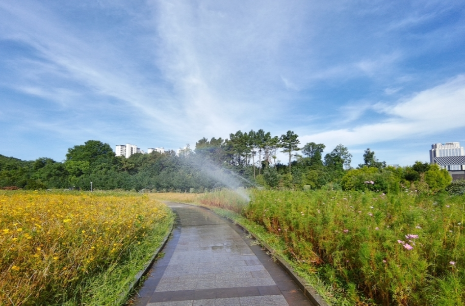 省植物園植物如何“消暑”度夏 每天降下“人工雨”