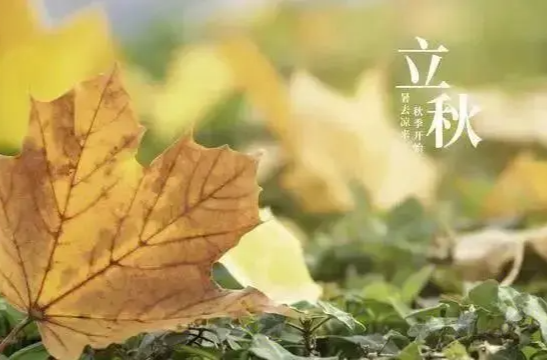 立秋之后，有哪些養(yǎng)生保健方法可以預(yù)防呼吸道疾?。繎?yīng)該如何正確地“貼秋膘”？