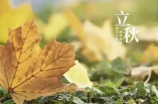 立秋之后，有哪些养生保健方法可以预防呼吸道疾病？应该如何正确地“贴秋膘”？